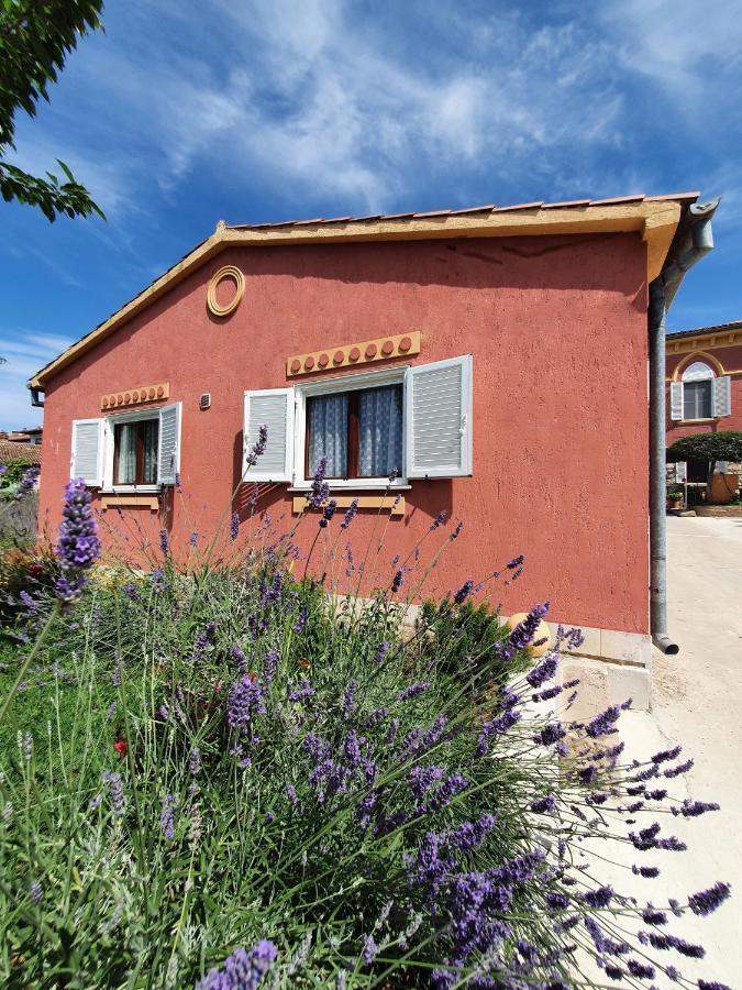 Apartment "House Tigra" Rovinj Exterior foto